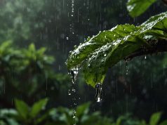 5 soluciones naturales para ahorrar agua en tu día a día 5 soluciones naturales para ahorrar agua en tu día a día