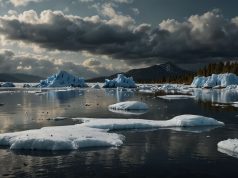 «El hielo marino del Ártico en verano podría desaparecer en 10 años» "El hielo marino del Ártico en verano podría desaparecer en 10 años"