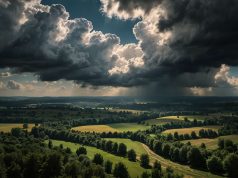 Plagas de langostas: una creciente amenaza climática que preocupa Plagas de langostas: una creciente amenaza climática que preocupa