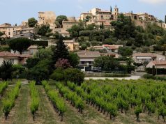 Pesticidas: generaciones Futuras alerta sobre la sobreexposición de los habitantes cerca de los viñedos Pesticidas: generaciones Futuras alerta sobre la sobreexposición de los habitantes cerca de los viñedos
