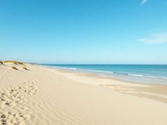 ¿Cómo se protegen las playas en Francia ? ¿Cómo se protegen las playas en Francia ?