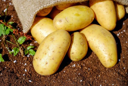 Calorías de la papa: descubre los valores nutricionales según el modo de cocción Calorías de la papa: descubre los valores nutricionales según el modo de cocción